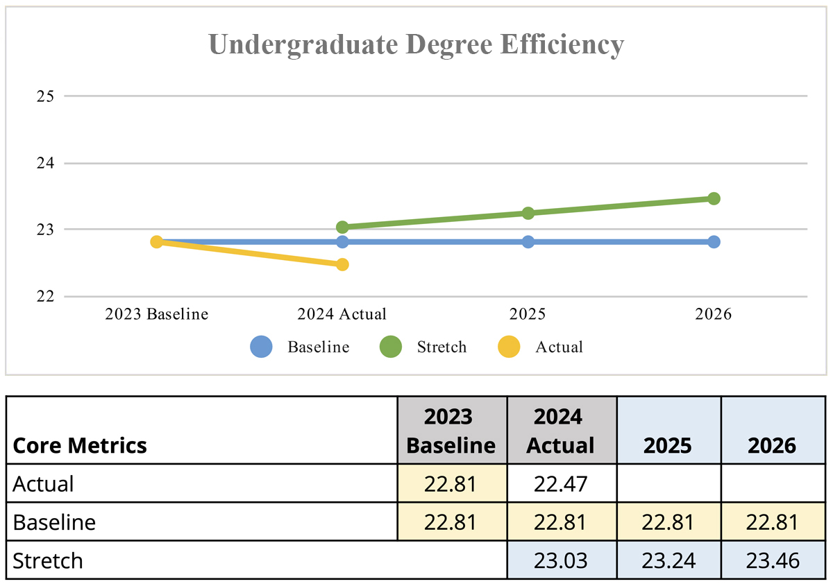 Undergraduate Degree Efficency metrics