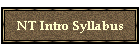 NT Intro Syllabus
